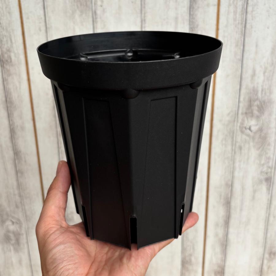 CSM-150L スリット鉢 ロングタイプ（約5号鉢） ブラック メーカー：兼