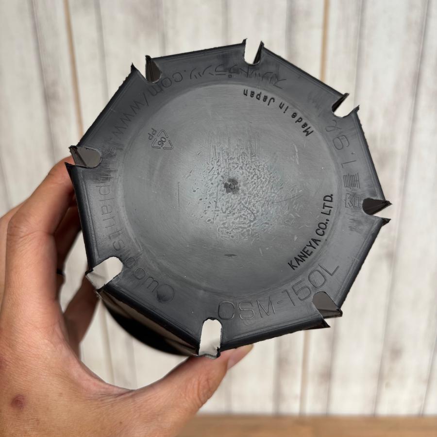 CSM-150L スリット鉢 ロングタイプ（約5号鉢） ブラック メーカー：兼