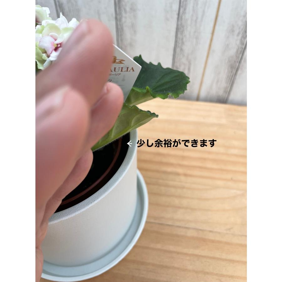 化粧鉢 12cm 受け皿セット FAT120 : フラワーショップ POCOLOCO