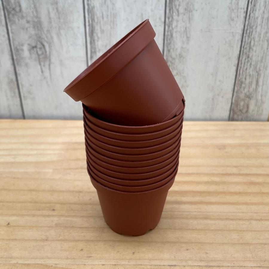 プラ鉢 6cm (12鉢セット) : フラワーショップ POCOLOCO