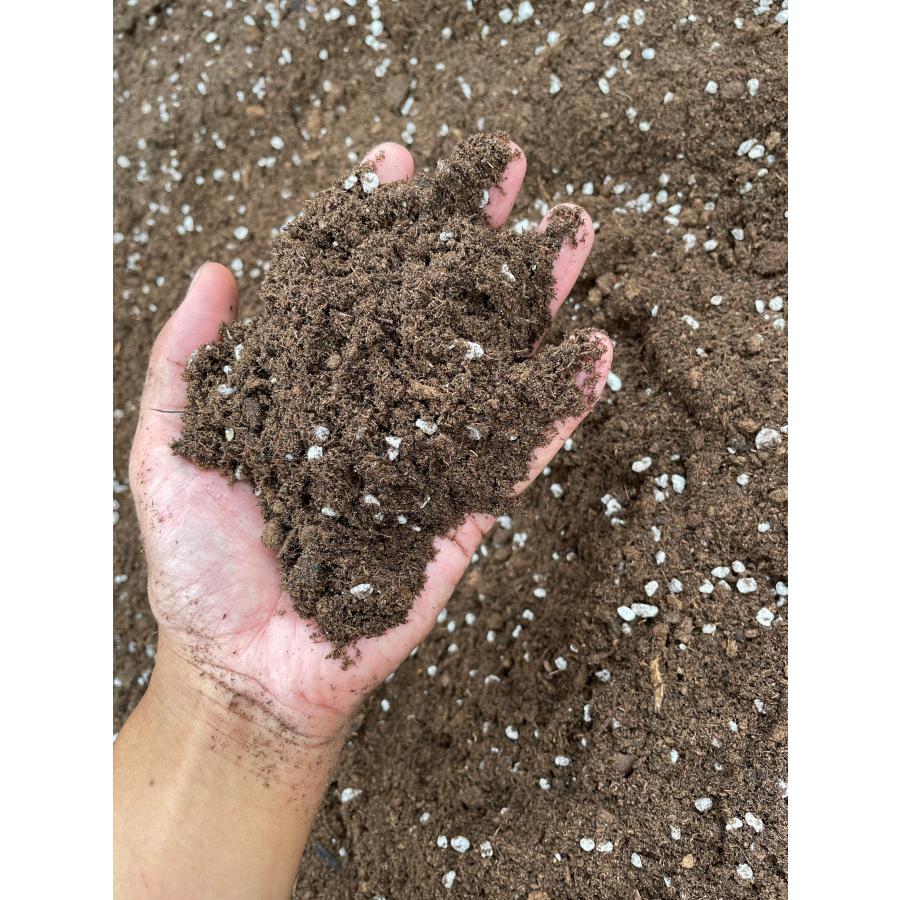 セントポーリア 専用培養土 1リットル : フラワーショップ