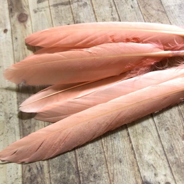 リアルフェザー Goose 羽 フラミンゴピンク 10枚セット 10-15cm