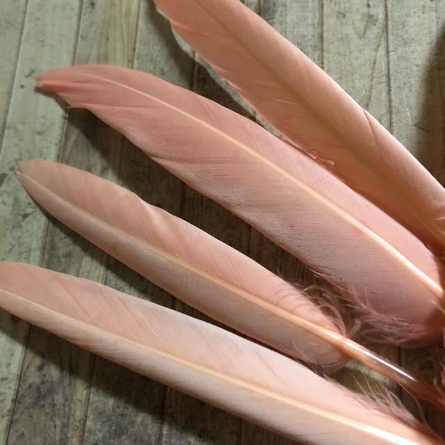リアルフェザー Goose 羽 フラミンゴピンク 10枚セット 10-15cm