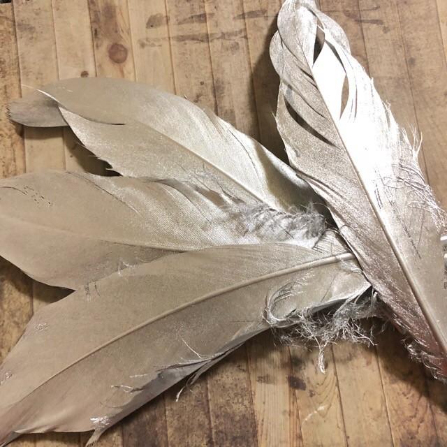 リアルフェザー 羽根 シルバー 6枚 15-20cm : Guild by PoD 手芸パーツ