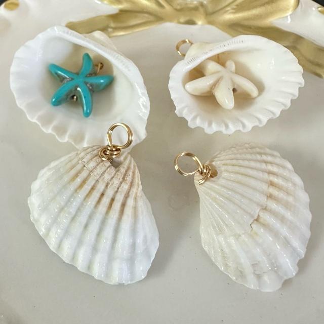 4個 貝殻 ヒトデ チャーム ターコイズ/ホワイト | 