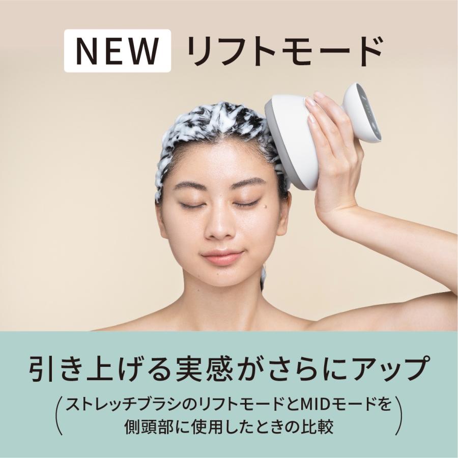 Panasonic EH-HE0J-S 頭皮エステ 〈スパイラル＆スライド〉（シルバー