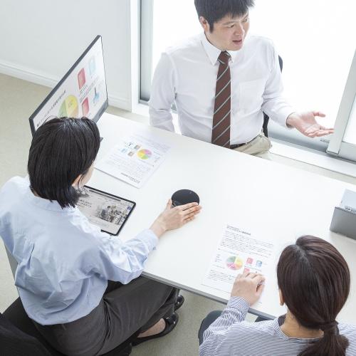サンワサプライ MM-WLMSPSET ワイヤレス会議スピーカーフォン（2台セット）の画像