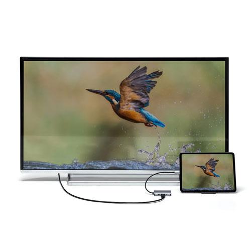 サンワサプライ AD-ALCHV02 USB Type C-HDMI/ VGA変換アダプタ（4K/ 30Hz/ PD対応）の画像