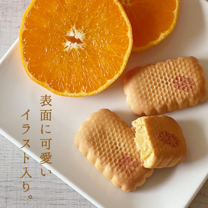 ベビー母恵夢 愛媛のせとか 6個入 ギフト 母恵夢 ポエム 愛媛 お土産