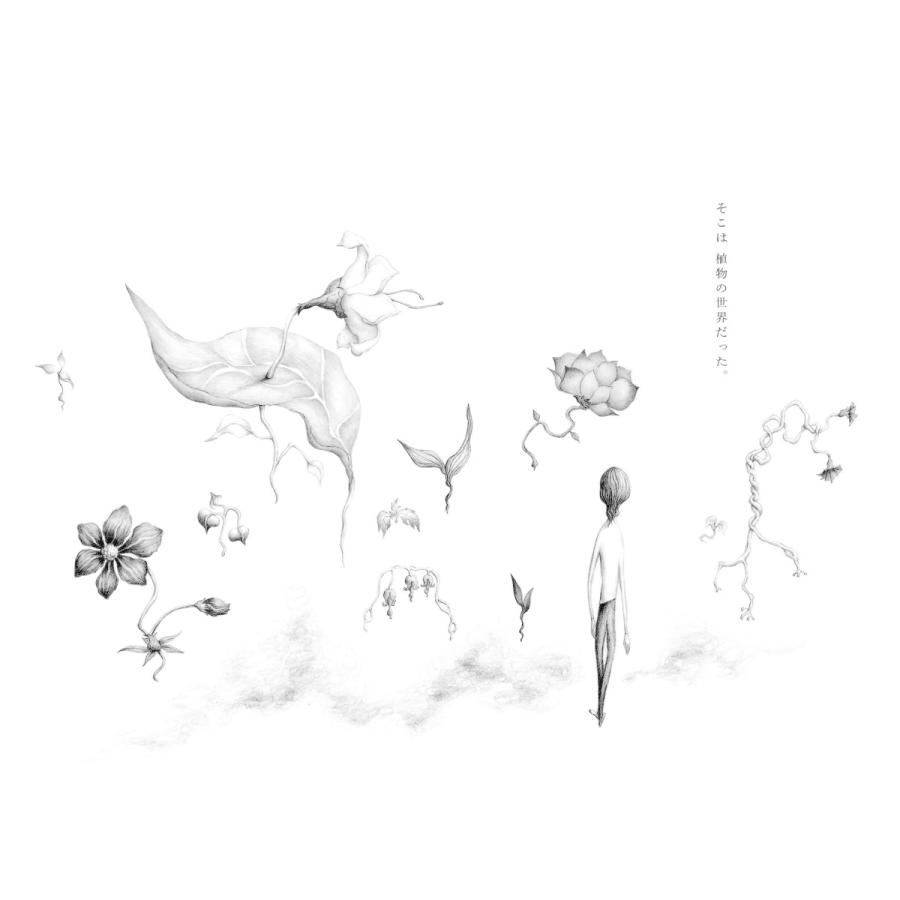 【プレゼントつき】植物界 |  | 07