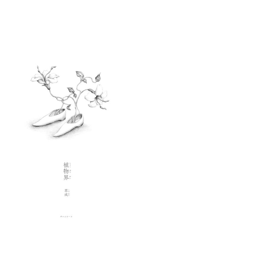 【プレゼントつき】植物界 |  | 08