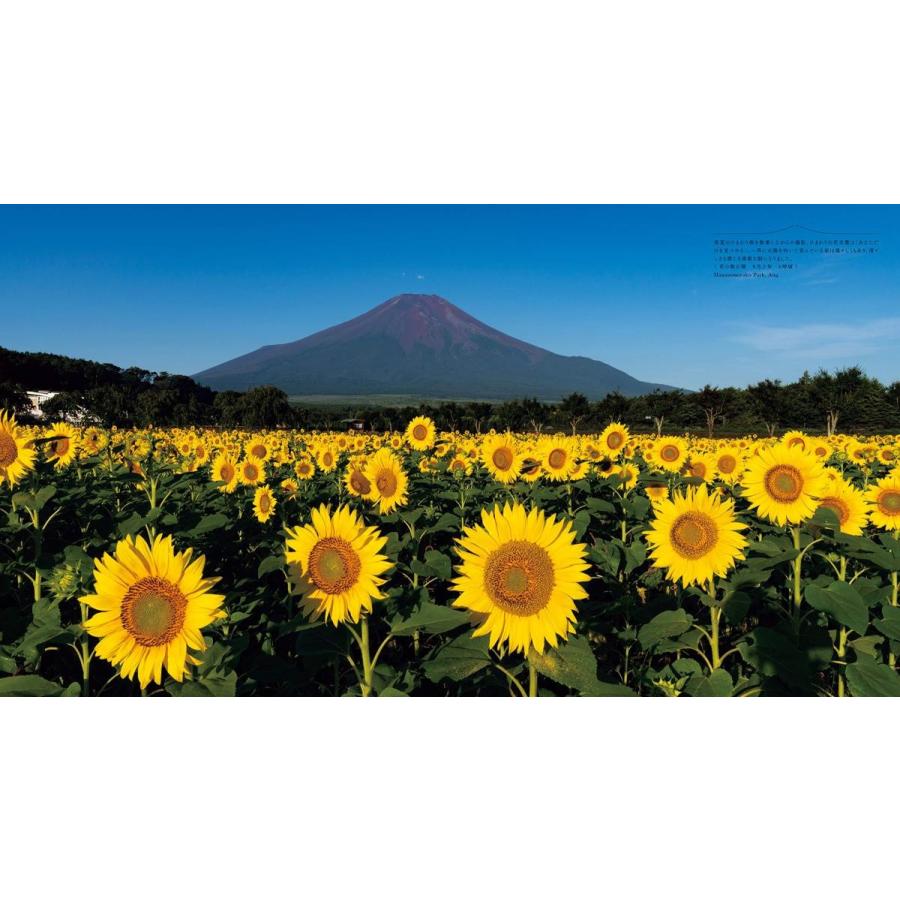 (Fujiyama)永遠の富士山 |  | 05