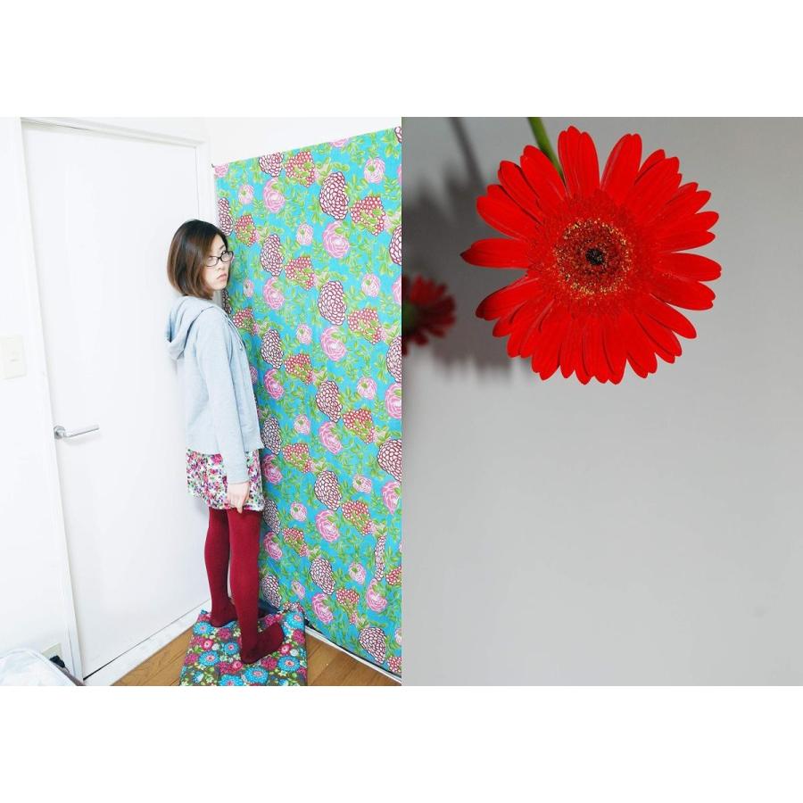 今日の光はいつかの光 |  | 02
