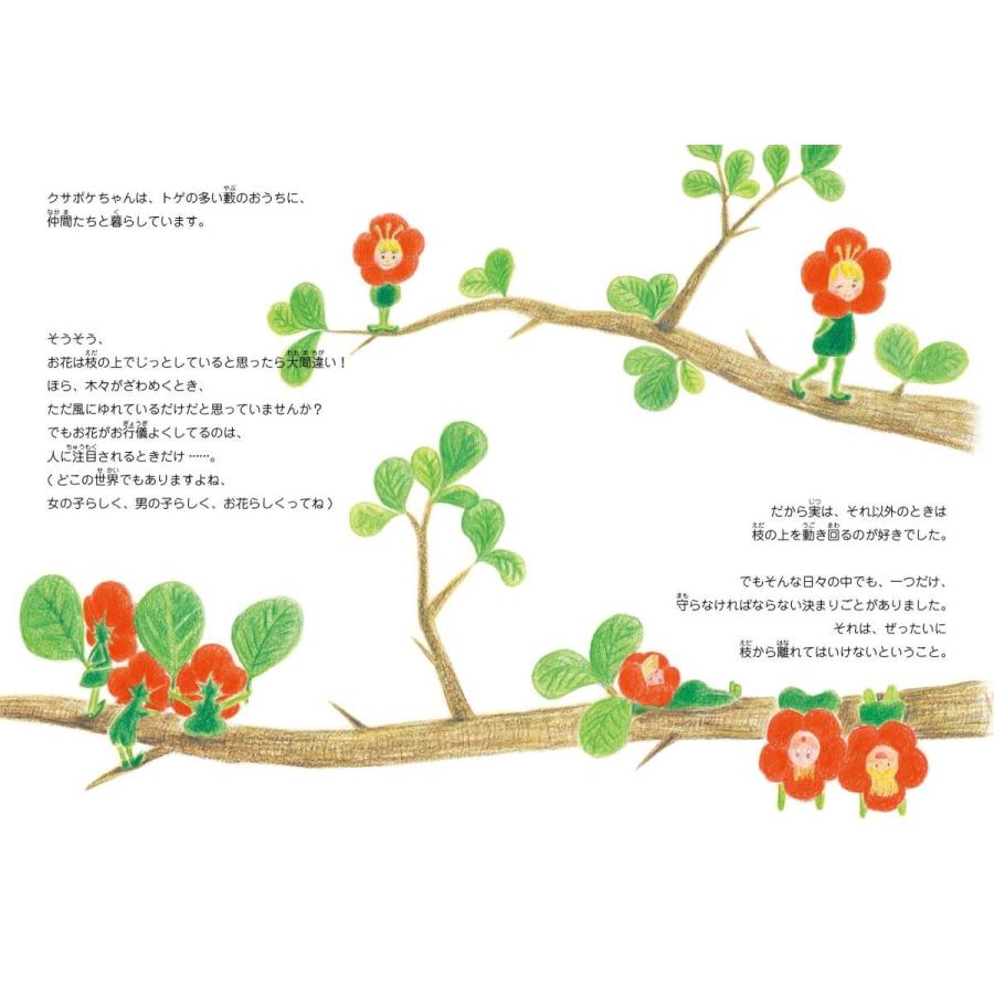 【プレゼントつき】クサボケちゃん |  | 01