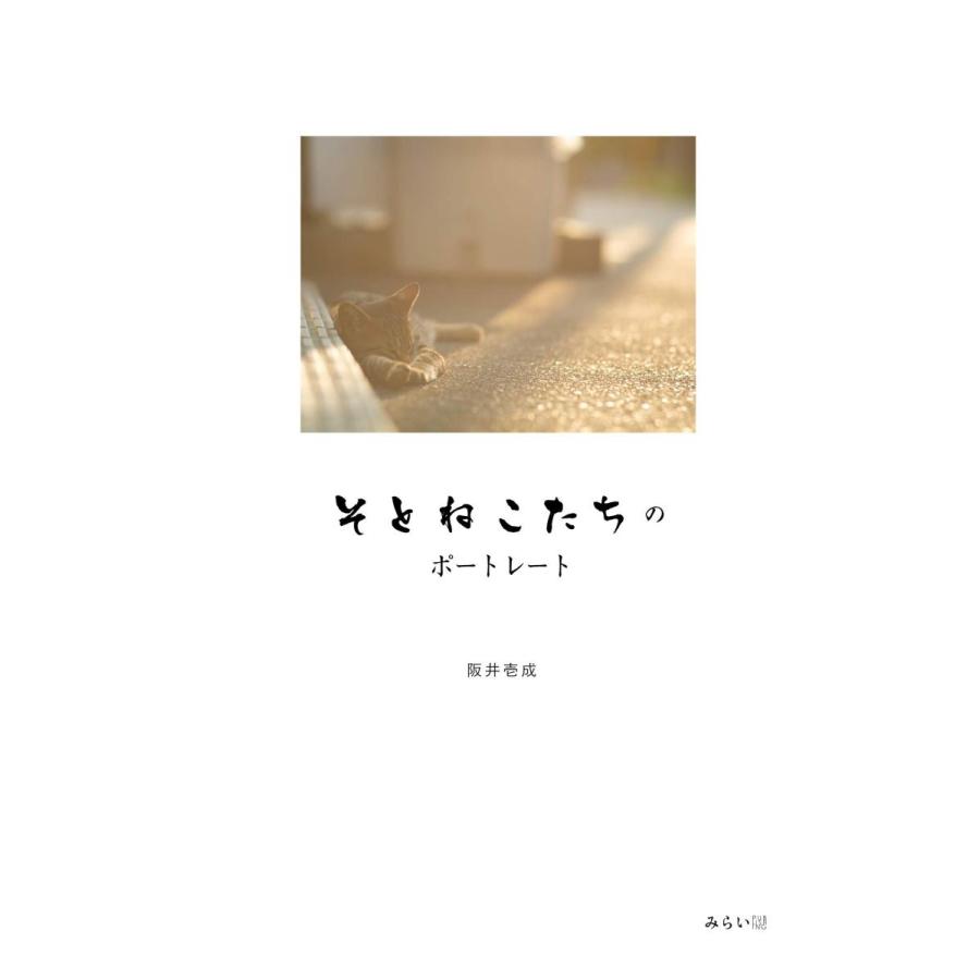 そとねこたちのポートレート |  | 01