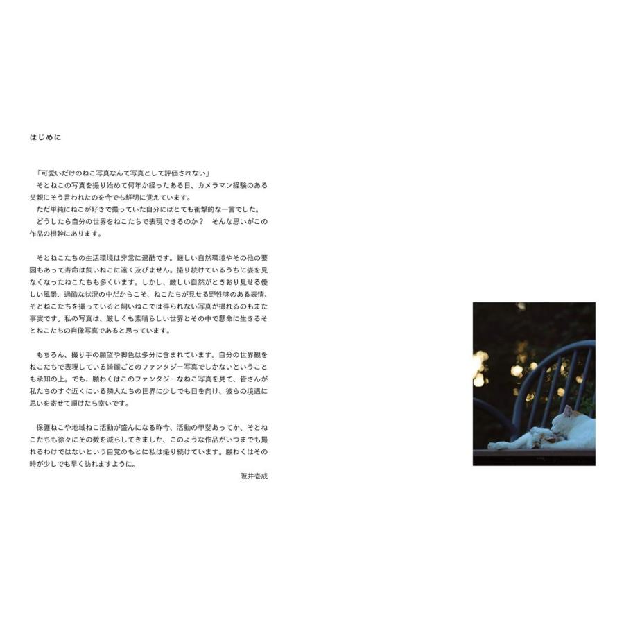 そとねこたちのポートレート |  | 02