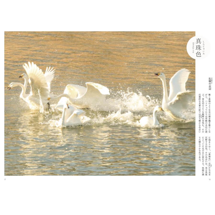 百色図鑑〜四季彩 言の葉 |  | 01