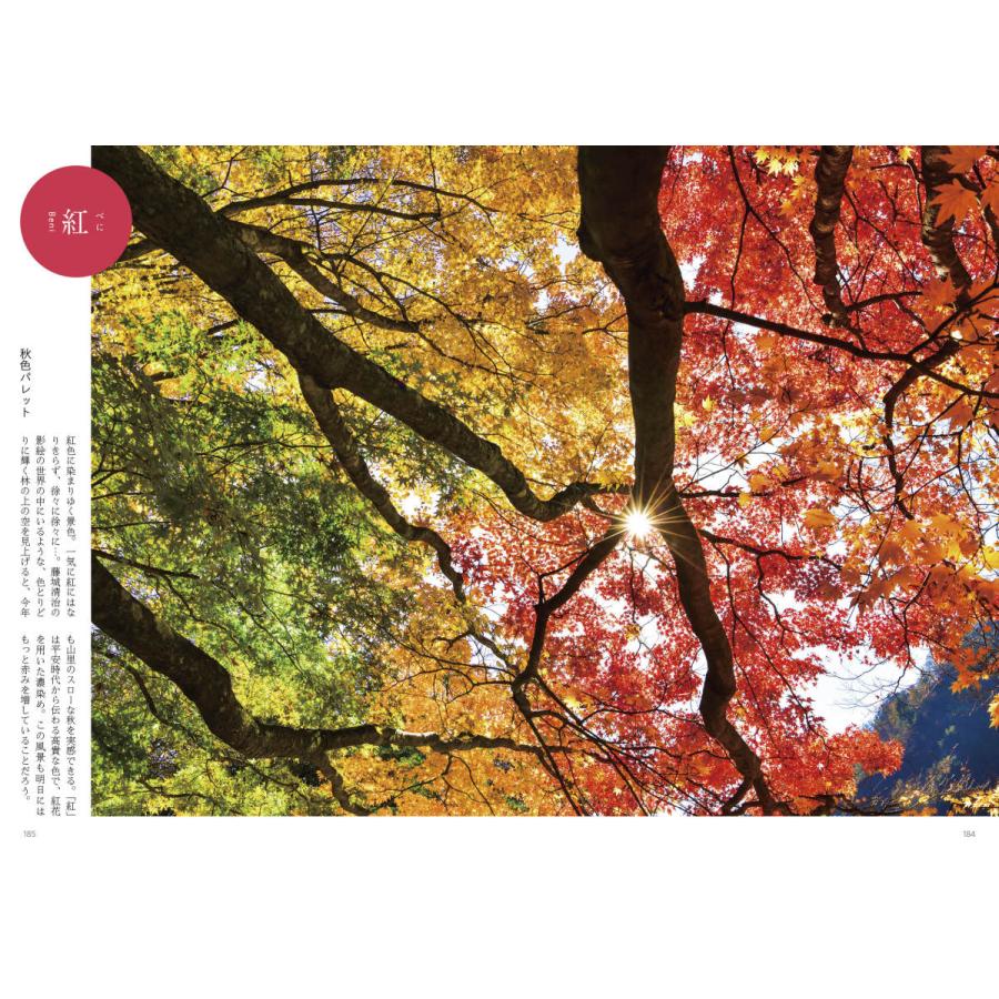 百色図鑑〜四季彩 言の葉 |  | 11