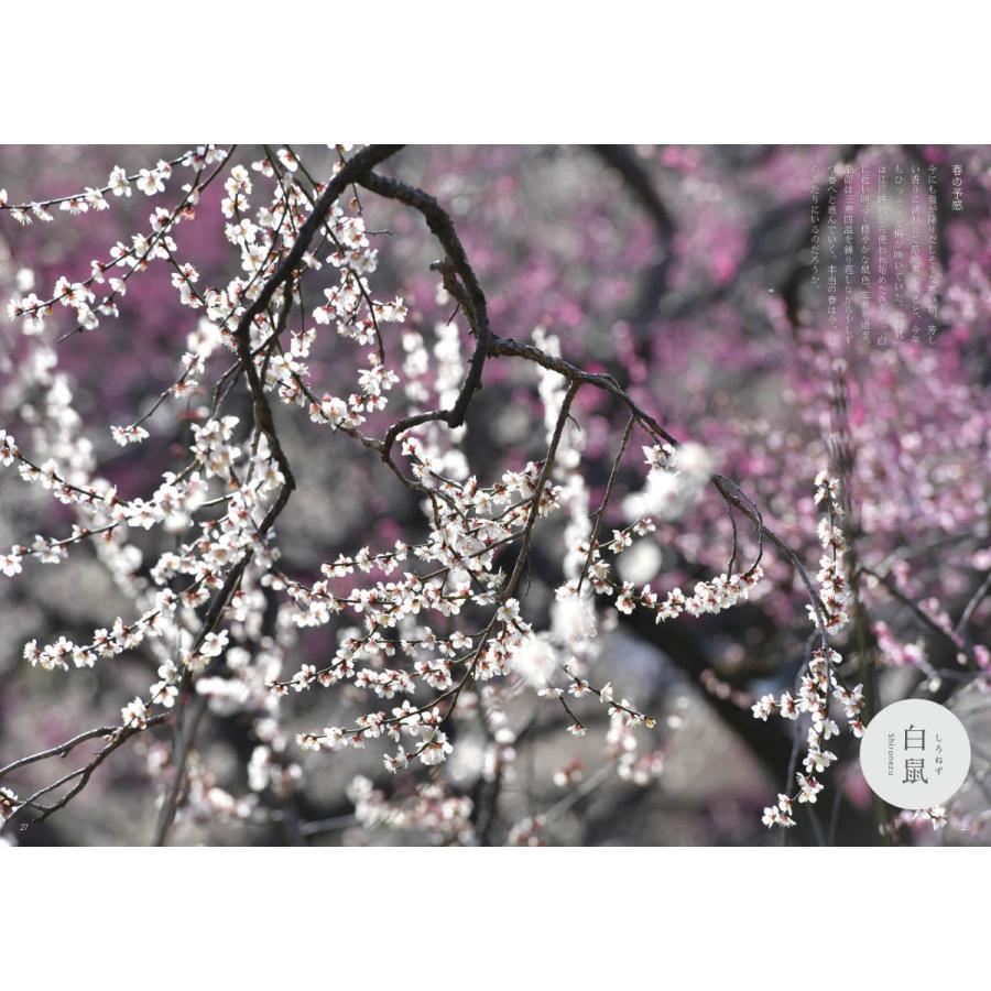 百色図鑑〜四季彩 言の葉 |  | 02