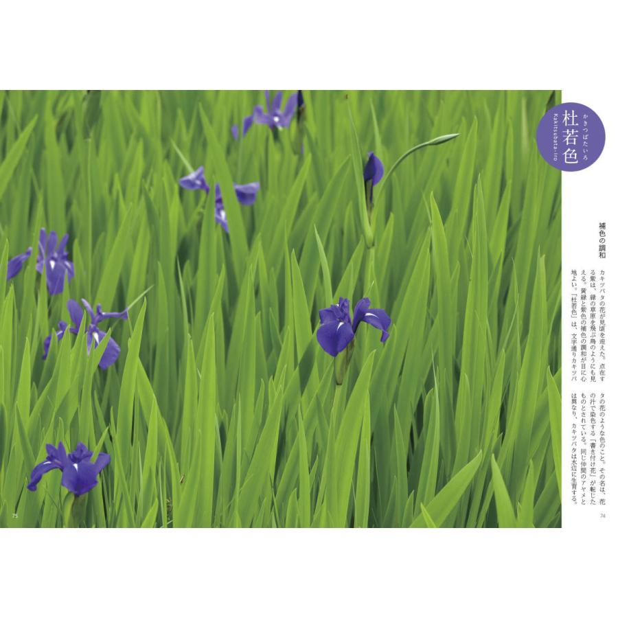 百色図鑑〜四季彩 言の葉 |  | 05