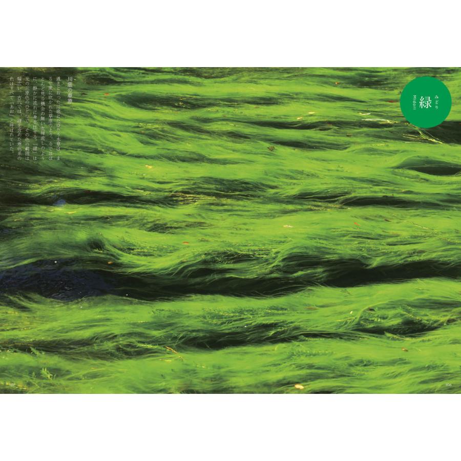 百色図鑑〜四季彩 言の葉 |  | 06