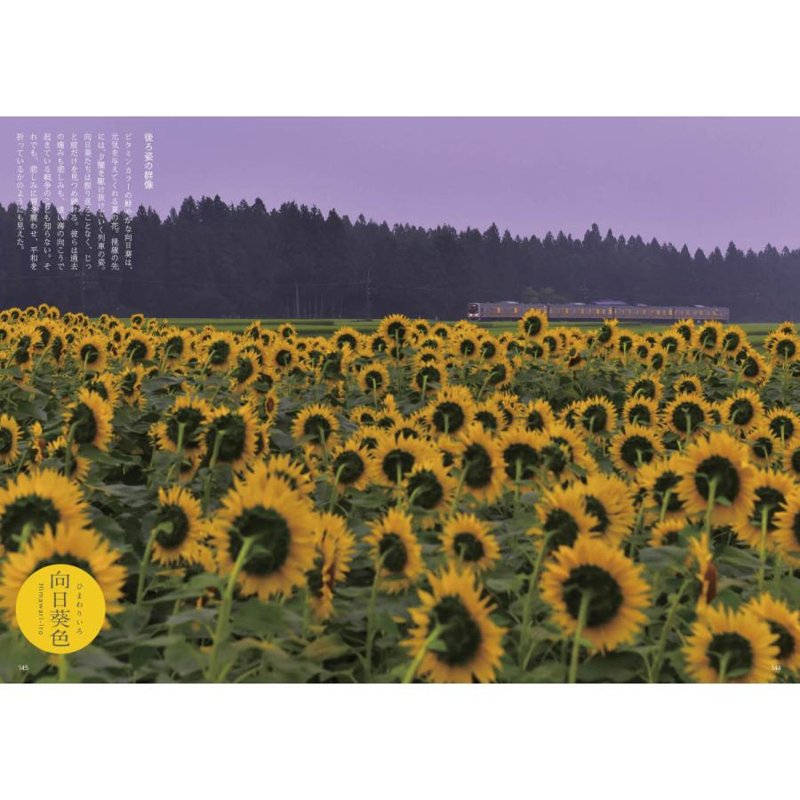 百色図鑑〜四季彩 言の葉 |  | 08