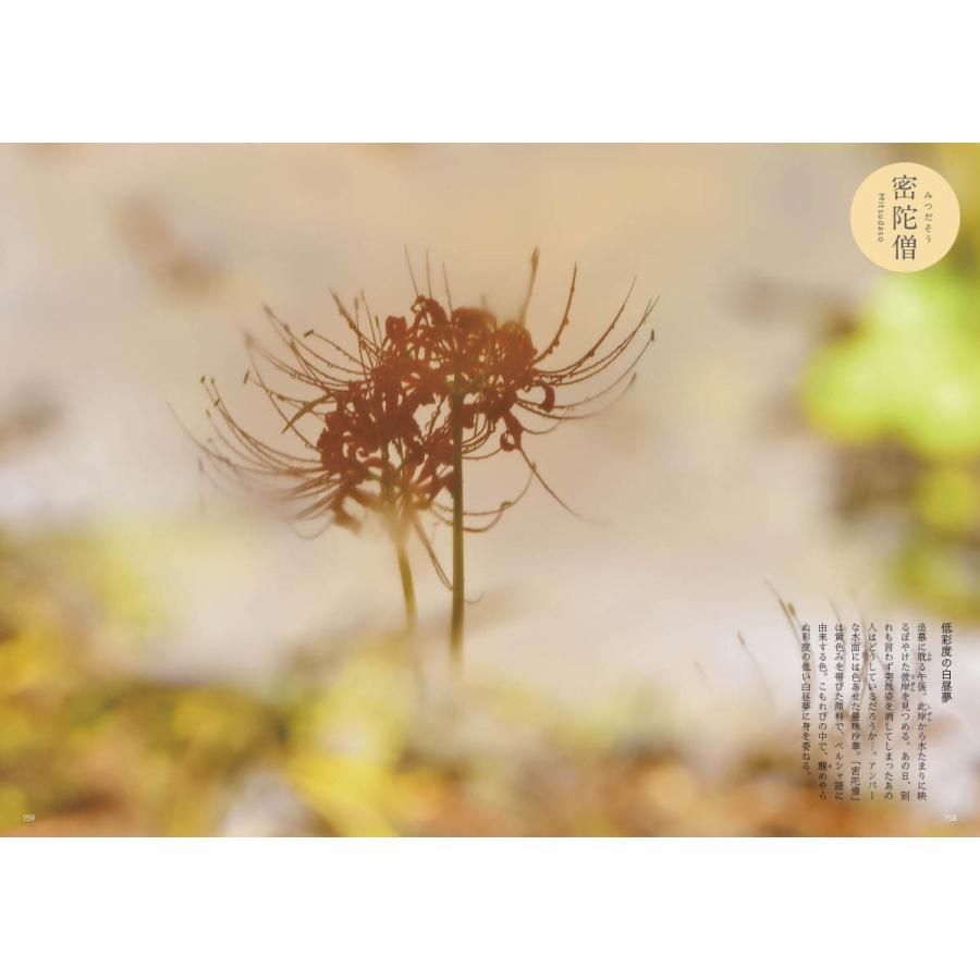 百色図鑑〜四季彩 言の葉 |  | 09