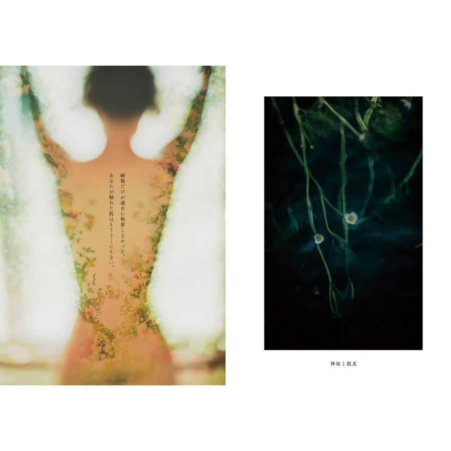 ご自愛ください あなた様、 |  | 02