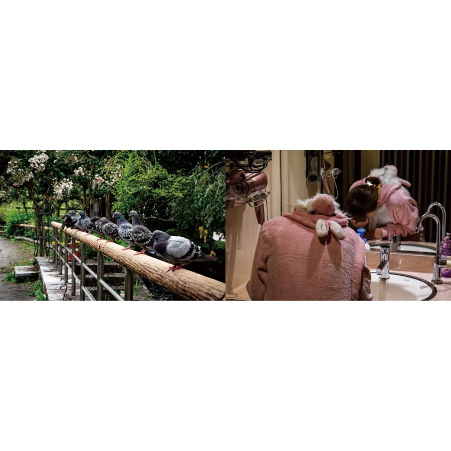 鳩と烏と |  | 04