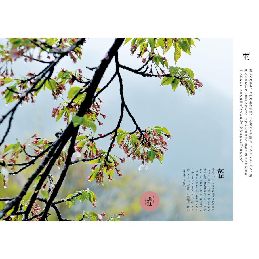 四季彩図鑑　雨と風と光の名前（ビジュアルガイドシリーズ） |  | 01