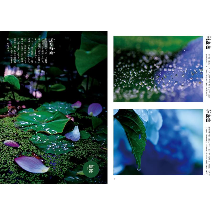 四季彩図鑑　雨と風と光の名前（ビジュアルガイドシリーズ） |  | 02