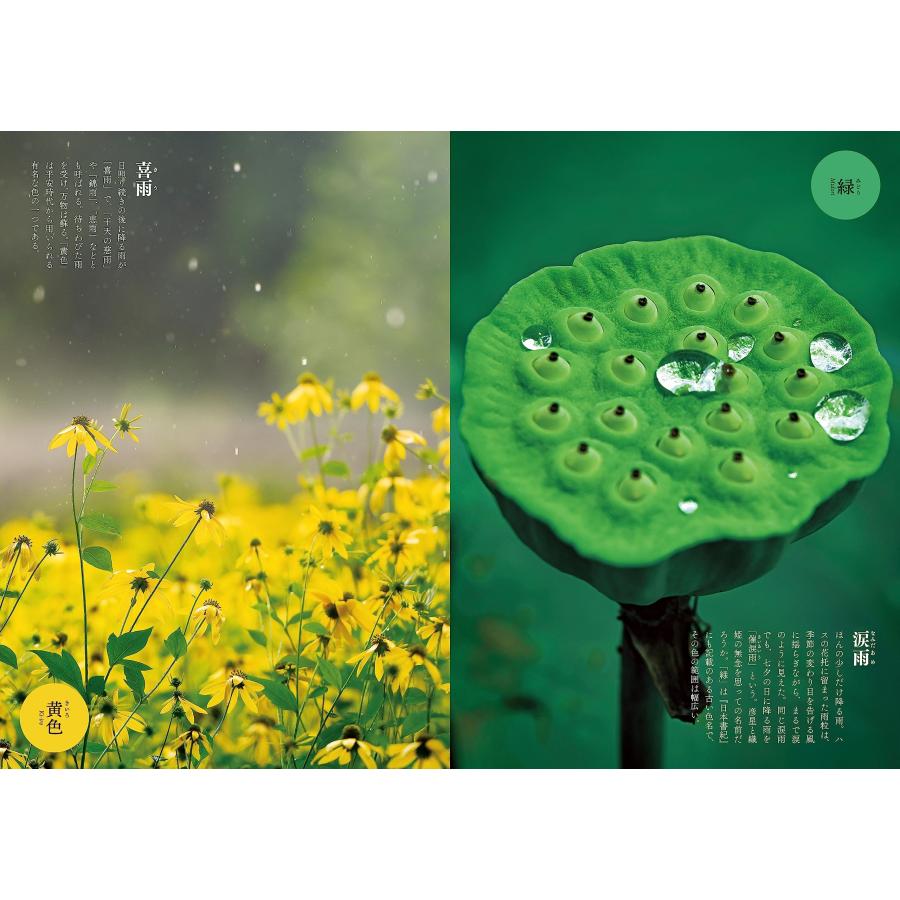 四季彩図鑑　雨と風と光の名前（ビジュアルガイドシリーズ） |  | 03