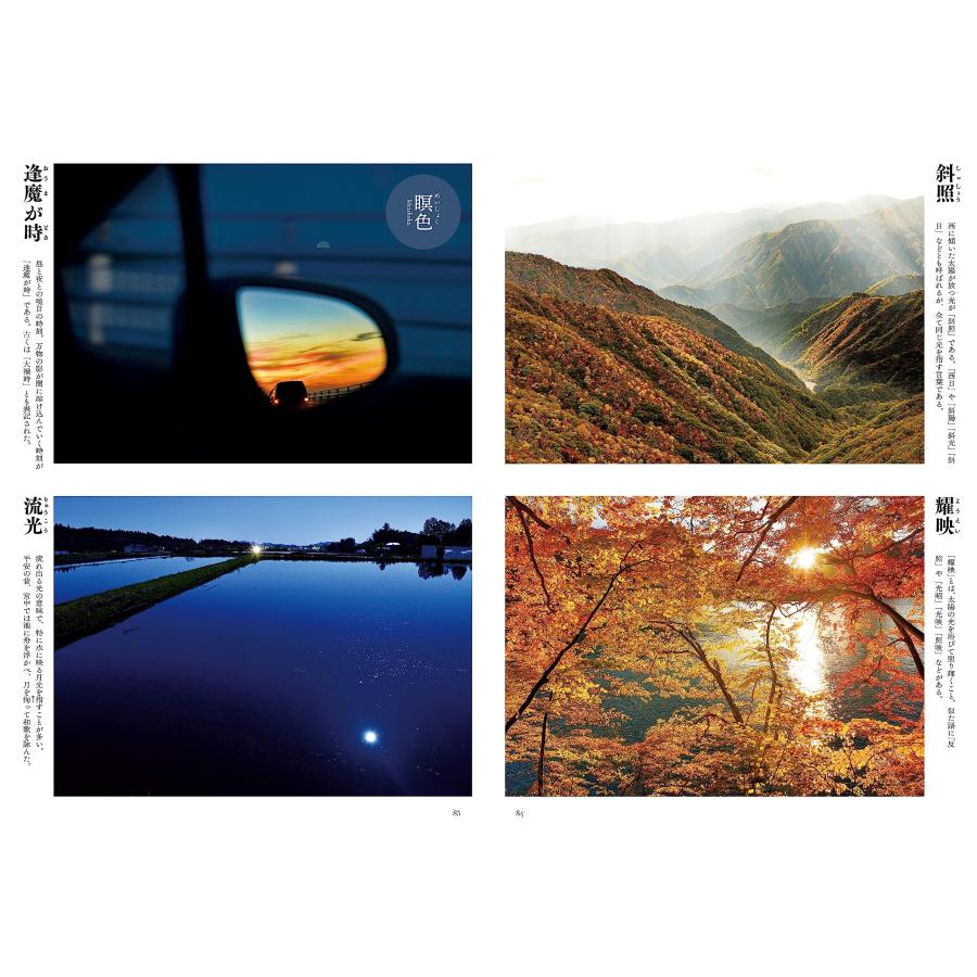 四季彩図鑑　雨と風と光の名前（ビジュアルガイドシリーズ） |  | 07