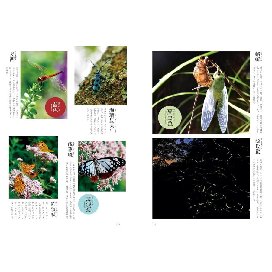 四季彩図鑑 空と氷と花の名前 (ビジュアルガイドシリーズ) : ららら