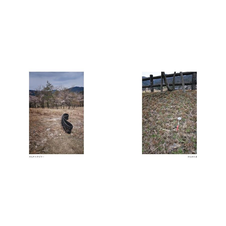 写真集　のら |  | 04
