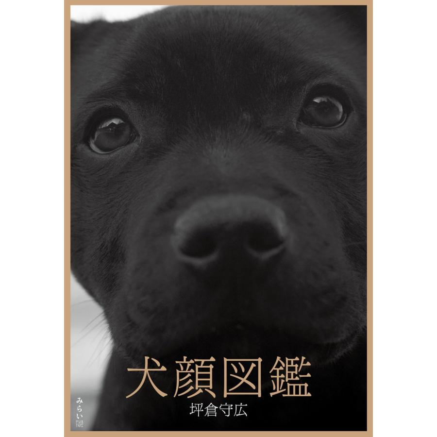 写真集　犬顔図鑑 | 