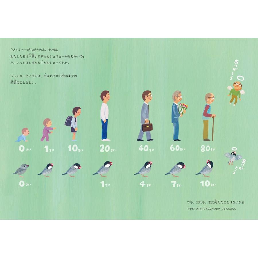 【プレゼントつき】じーさんとぴーぽっぽ |  | 05