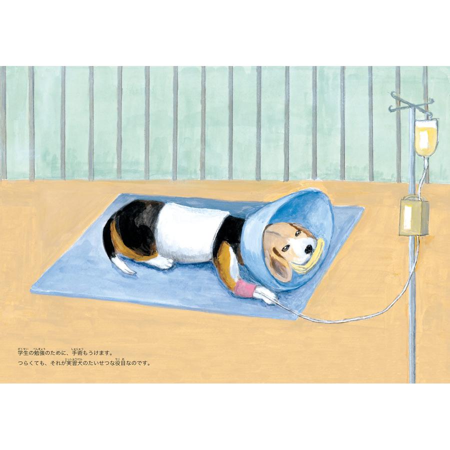 【プレゼントつき】チャコという犬がいた |  | 04