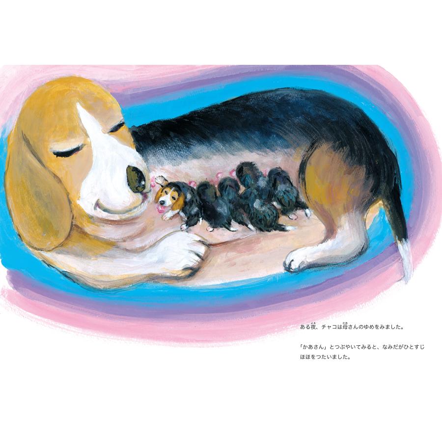 【プレゼントつき】チャコという犬がいた |  | 07