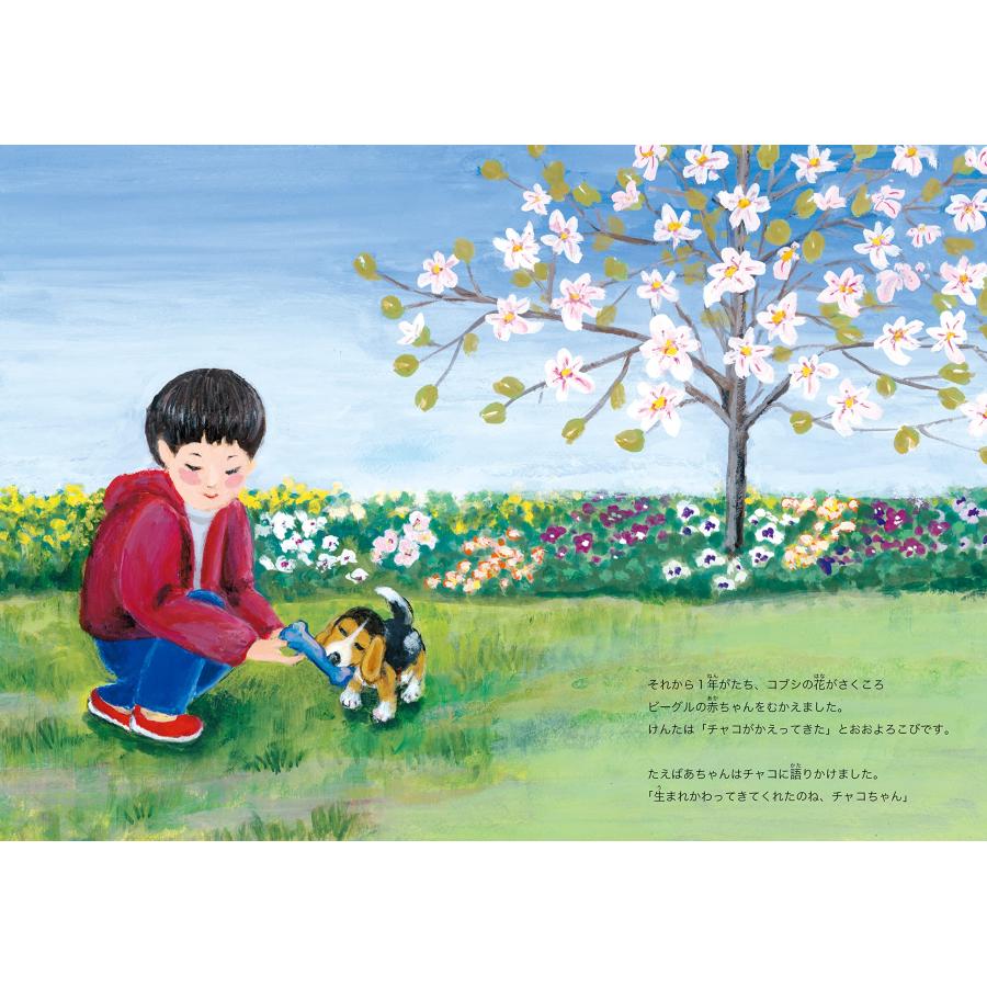 【プレゼントつき】チャコという犬がいた |  | 08