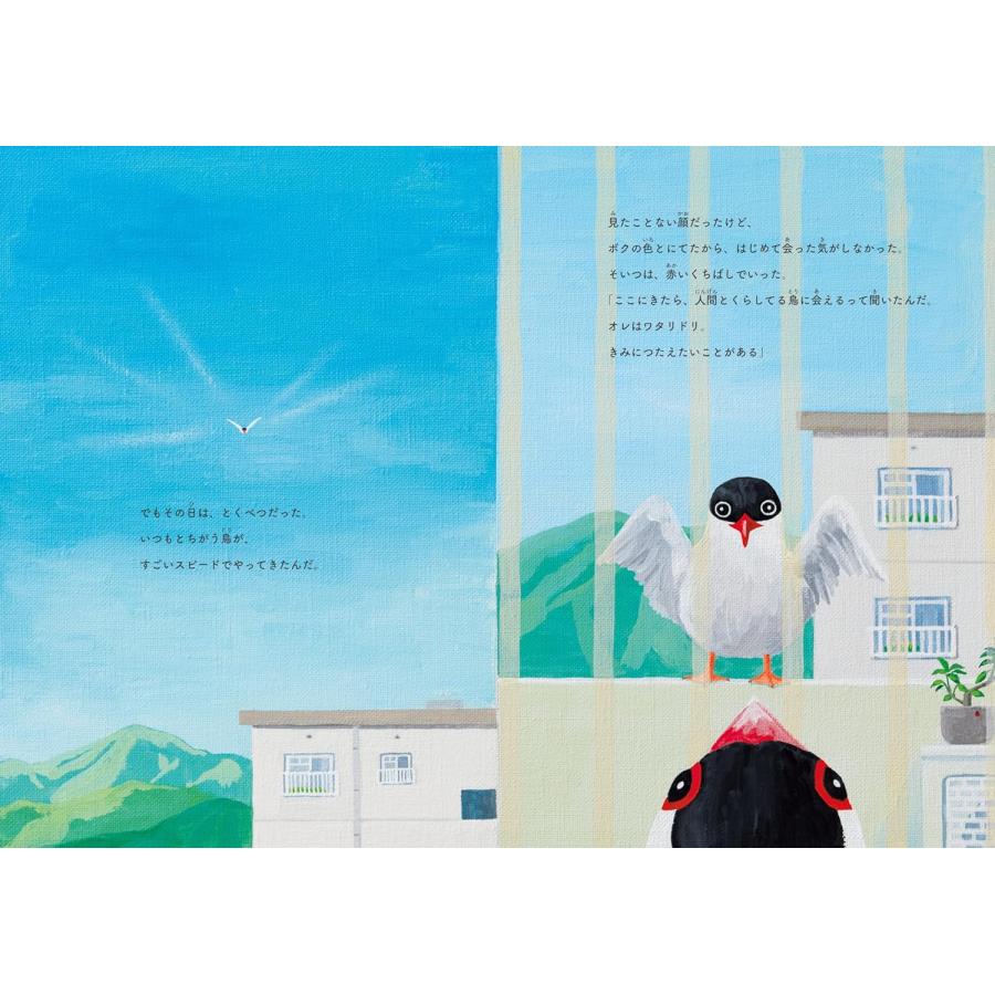 【プレゼントつき】絵本　かごそとのぴーぽっぽ (SDGsシリーズ) |  | 03