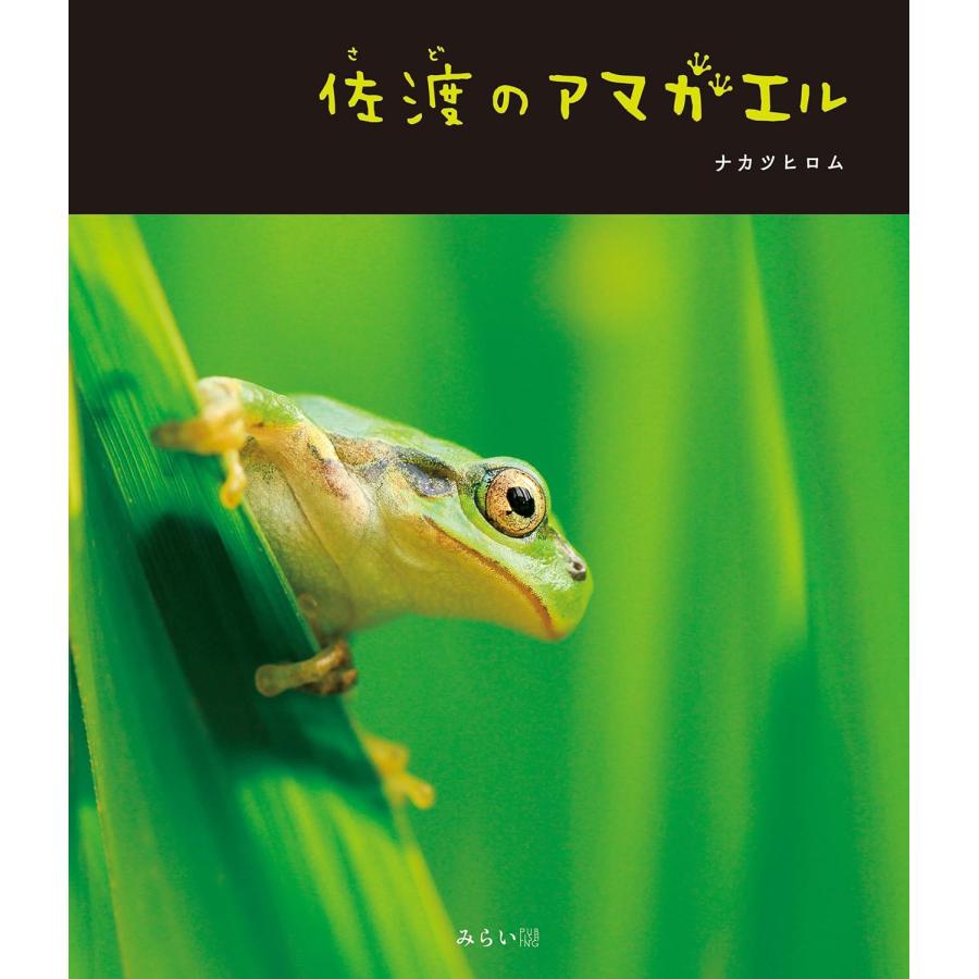 【プレゼントつき】写真絵本　佐渡のアマガエル (ネイチャー絵本) | 