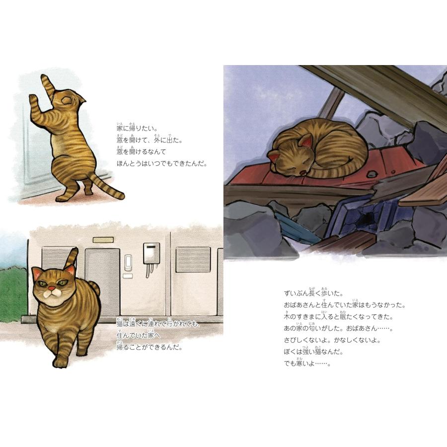 プレゼントつき】絵本 ぼくの名前はトラ 〜震災を駆け抜けたノラ猫