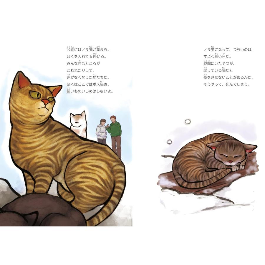 プレゼントつき】絵本 ぼくの名前はトラ 〜震災を駆け抜けたノラ猫