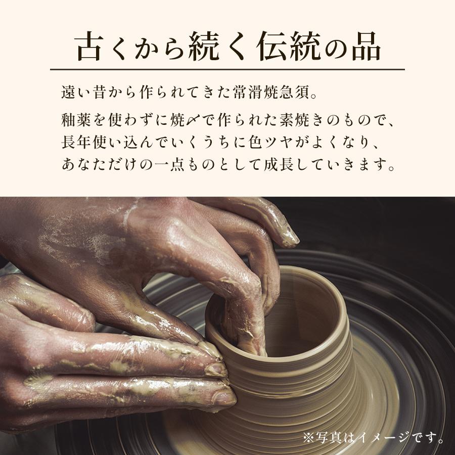 常滑焼急須【平型急須/セラメッシュ】玉光 火窯変線段平 急須 玉光作