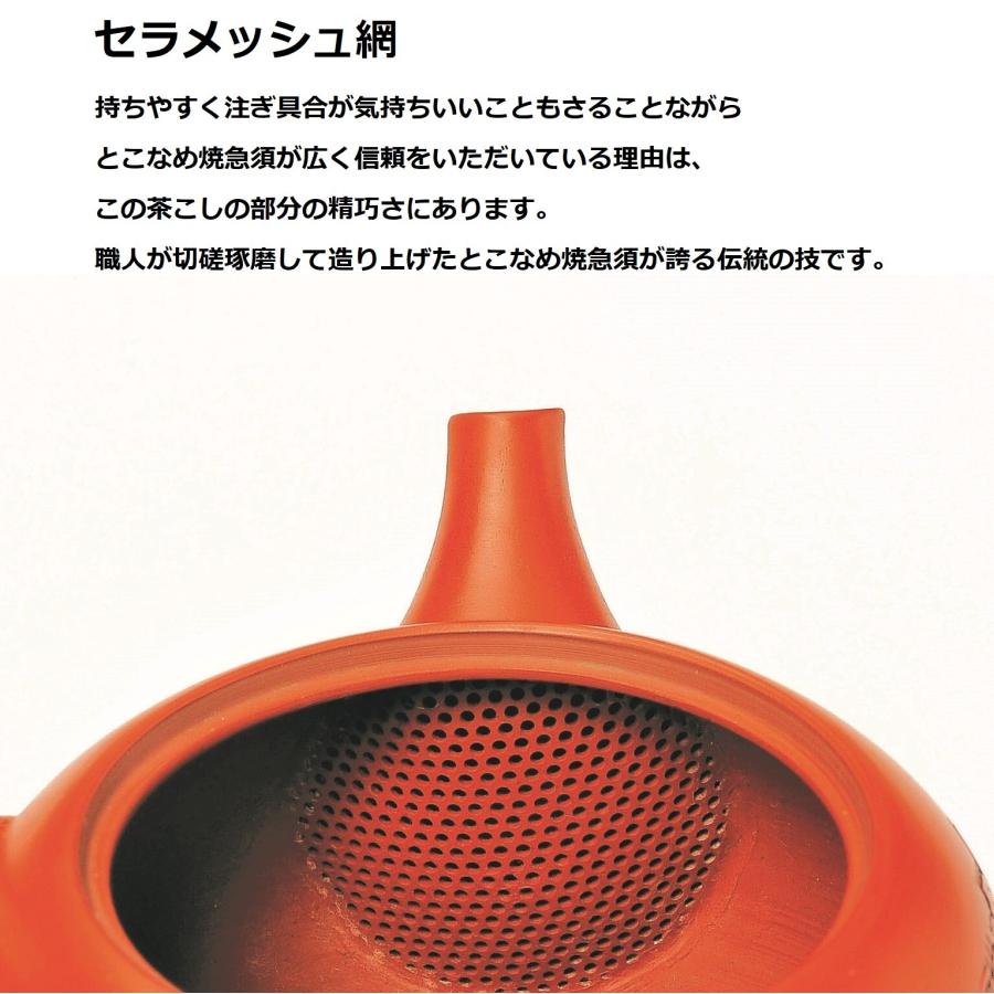 セットでも単品でもどうぞ！ 常滑焼急須【セラメッシュ】玉光 緑泥 藻がけ 急須 200cc セラメッシュ 常滑焼 茶器 ティーポット 緑_1