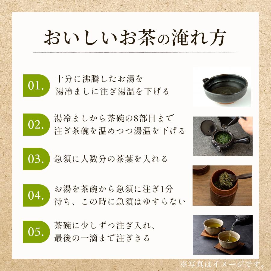 セットでも単品でもどうぞ！ 常滑焼急須【セラメッシュ】玉光 緑泥 藻がけ 急須 200cc セラメッシュ 常滑焼 茶器 ティーポット 緑_4