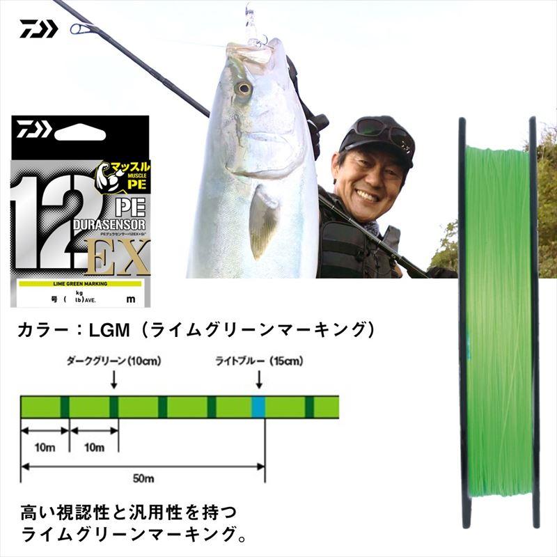 DAIWA（ダイワ） UVF PEデュラセンサー×12EX+Si3 300m 2号 5C : 釣具の