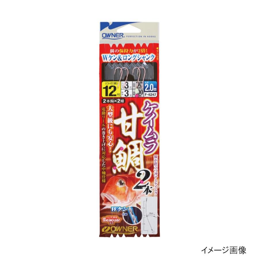 オーナー ケイムラ甘鯛 2本 F-6247 針12号-ハリス3号 : 釣具のポイント