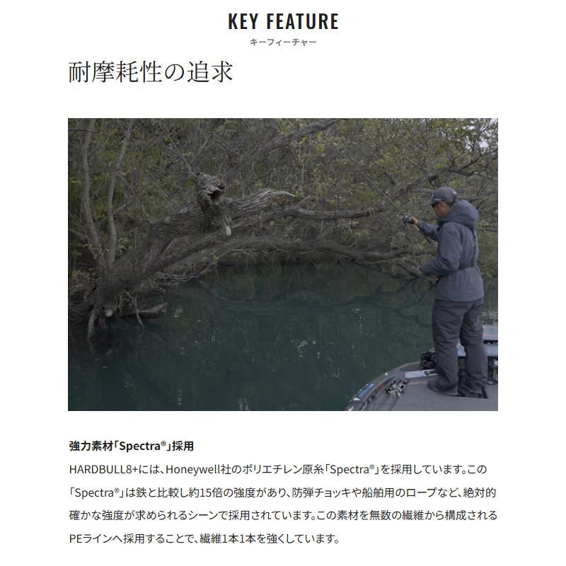 シマノ（SHIMANO） ハードブル 8+ 300m 2号 10m×5カラー LD-M78Y